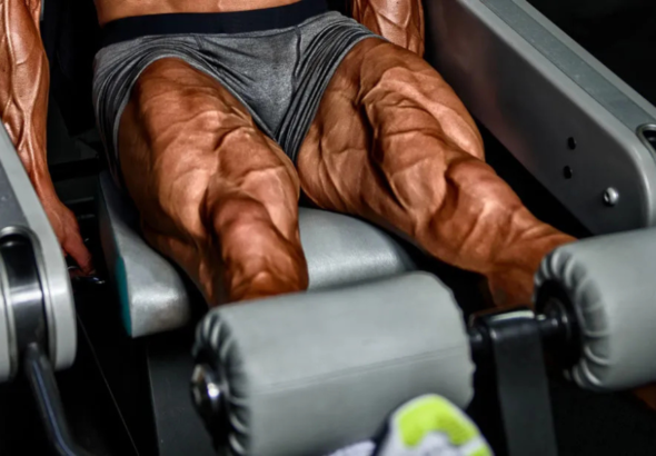 Quad Workout