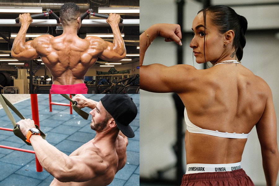 Back Workout