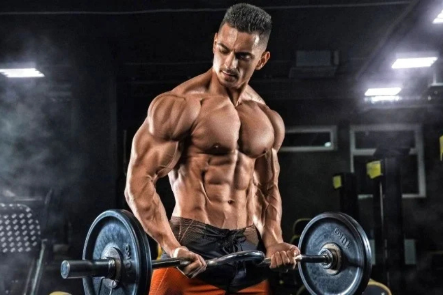Biceps (2)