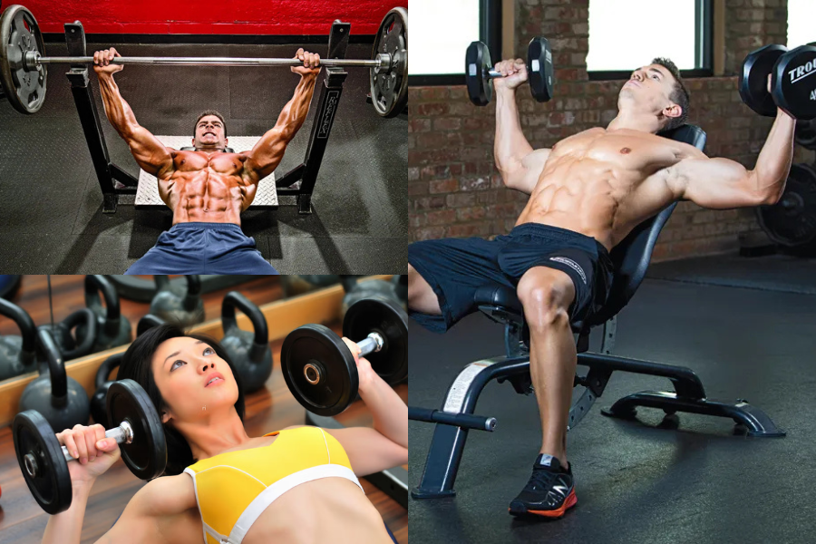 Chest Workout