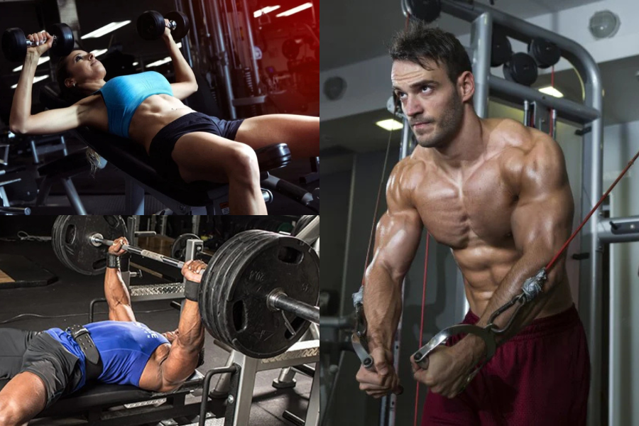 Chest Workout