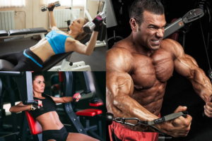 Chest Workout