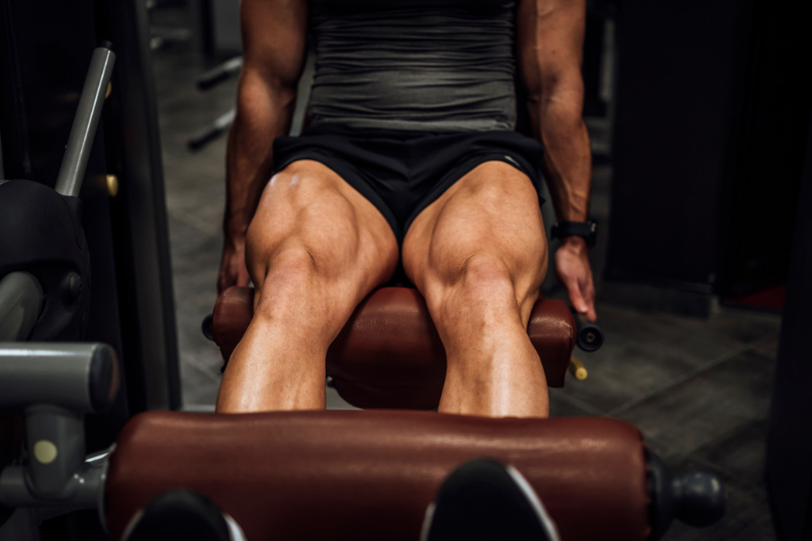 Quad Workout