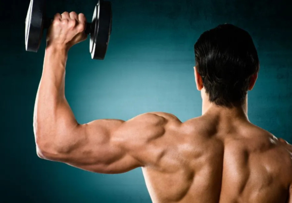 Shoulder Workout
