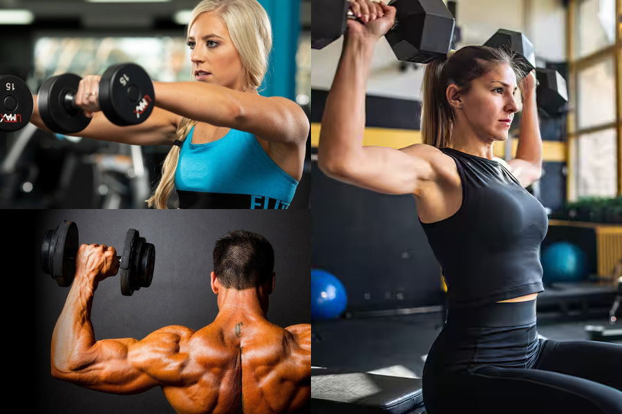 Shoulder Workout