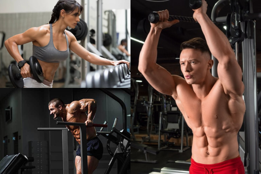 Triceps Workout