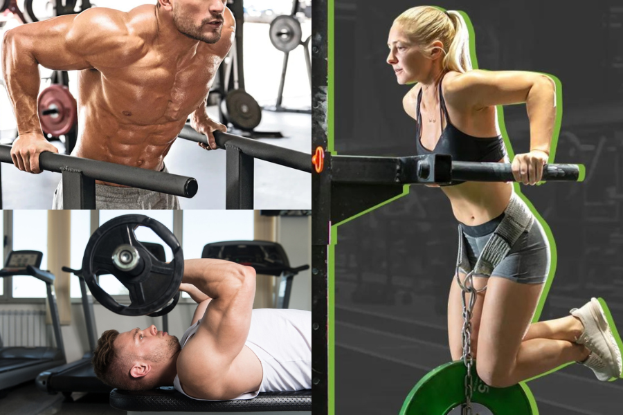 Triceps Workout