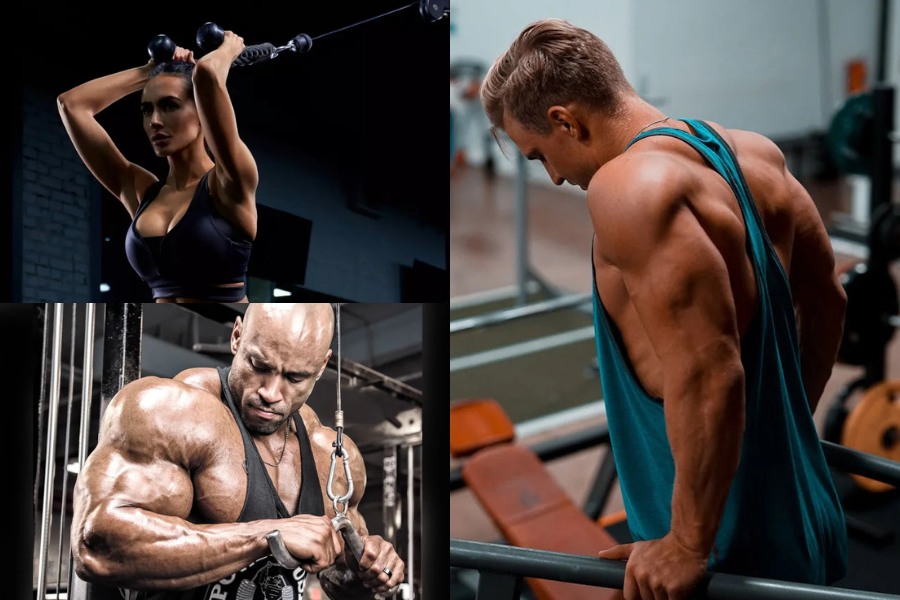 Triceps Workout