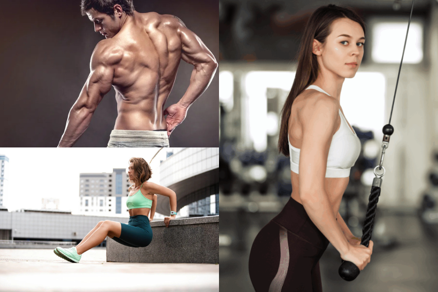 Triceps Workout