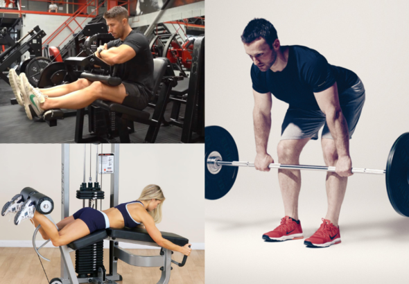Hamstring Workout