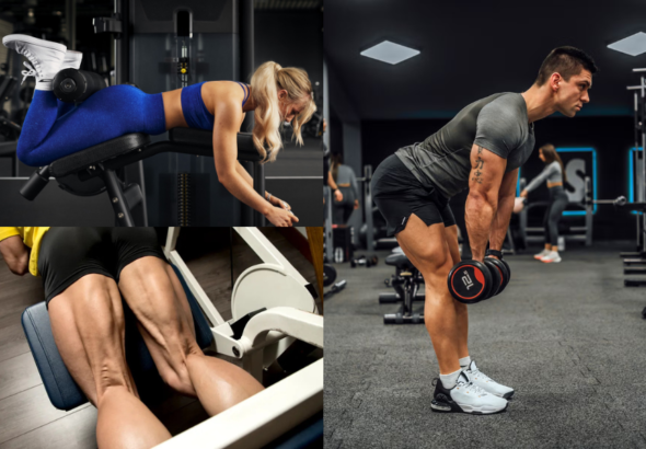 Hamstring Workout
