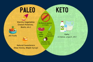 Paleo Diet