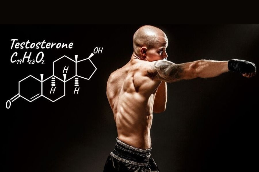 Testosterone Booster