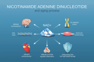 NAD Supplements